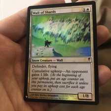 Wall of Shards NM Foil Magic the Gathering The List Reprints