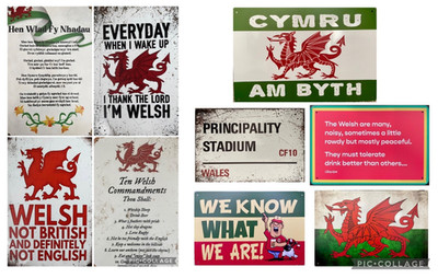 Große Wales-Thema Cymru walisische Metall-Wandschilder Plaketten 20 x 30 cm UK Verkäufer
