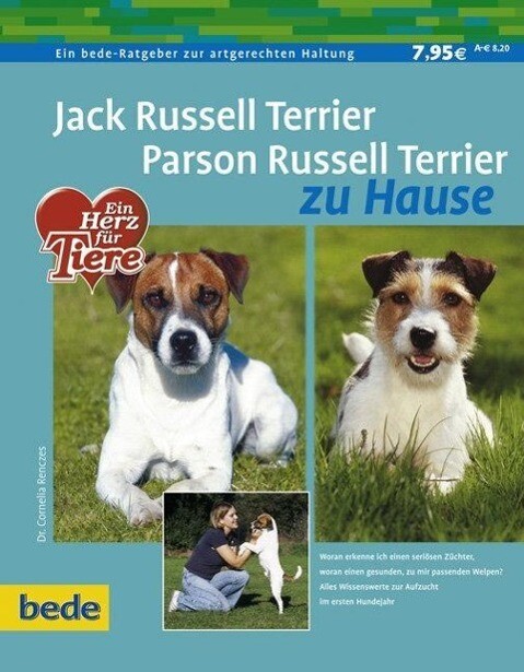 Thumbnail - Jack Russel Terrier. Parson Russel Terrier Zu Hause, Cornelia Renczes