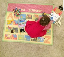 Pottery Barn Kids Quilted Gingham Animal Alphabet Nursery Baby Wall Decor Mat