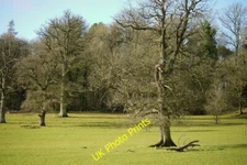 Photo 6x4 Homend Park, 2 Stretton Grandison Mostly oaks here; view to Hom c2015