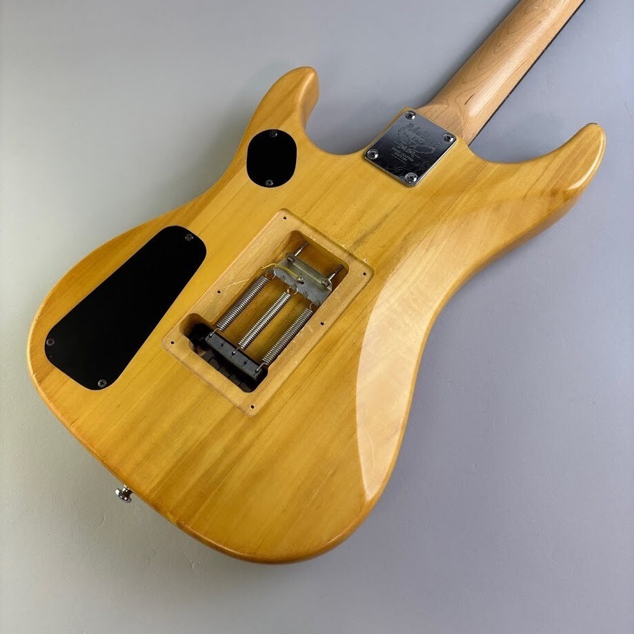 Washburn N2 w/soft case USED | eBay