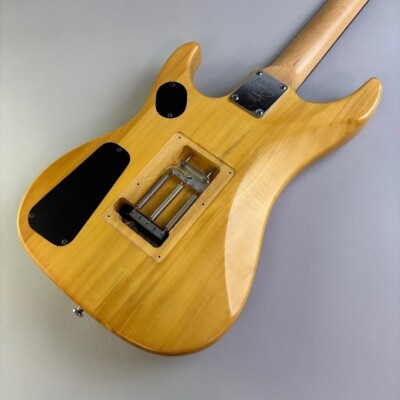 Washburn N2 w/soft case USED | eBay