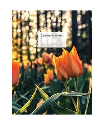 Graph Composition Notebook: Grid Paper Notebook: Large Size 8.5x11 ...
