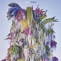 Wilco: Wilco: Cousin - Sony Music - (Lp / C)
