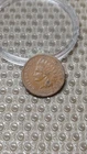 1882 Indian Head Cent Penny F/VF                                            Y962