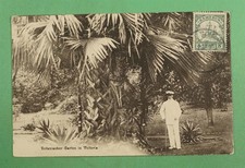 DR WHO 1913 GERMAN CAMEROON GARDEN POSTCARD TO AUSTRIA R22204