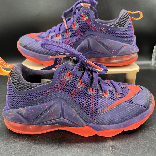 lebron 12 low purple