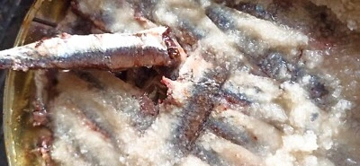 PRODOTTO ITALIANO 5 KG ACCIUGHE SALATE SICILIANE MAR MEDITERRANEO ARTIGIANALE PRODOTTO ITALIA