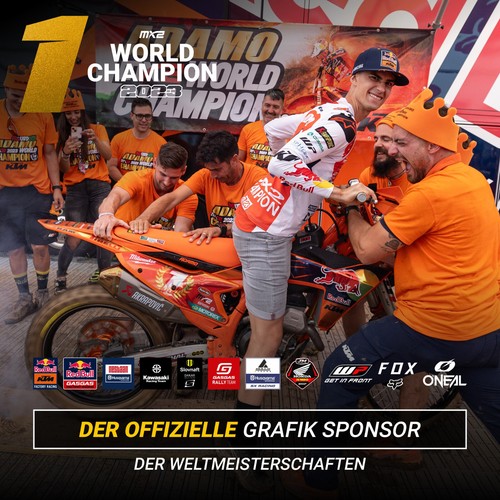 Pegatina decoración Sur-Ron Light Bee 2018 2019 2020 2021 2022 2023 - Imagen 9 de 17