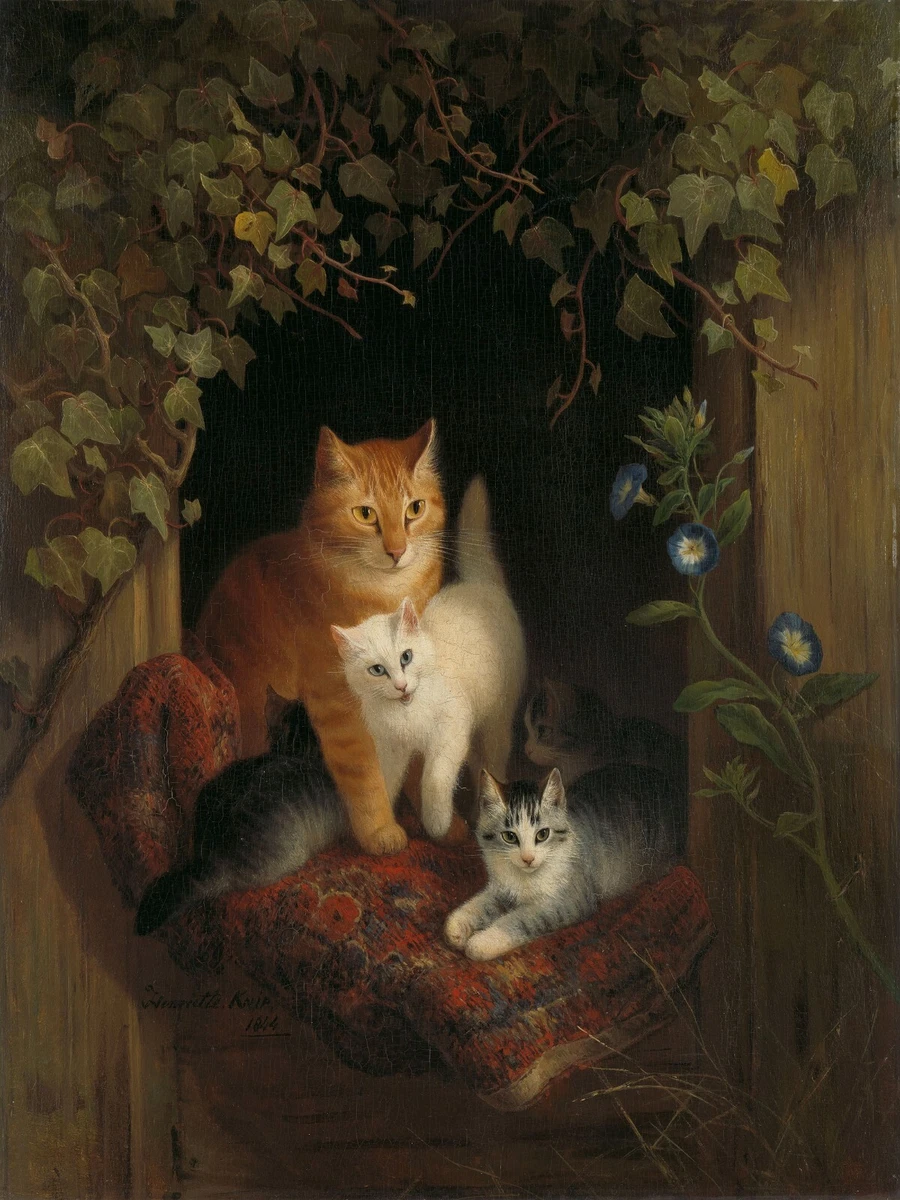 henriette ronner products for sale | eBay