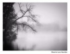 Bild 6 von 6