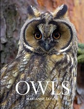 Owls by Taylor, Marianne Book The Cheap Fast Free Post