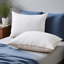 2PCS Soft to Medium Support Feather Bed Pillows King or Queen, Anti Feather Poke