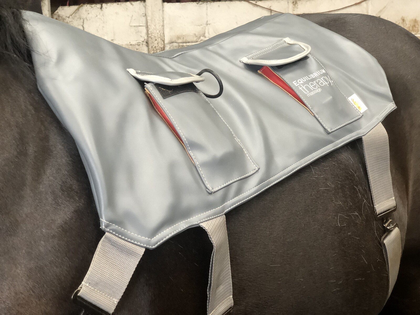 Equilibrium Back Massage Pad eBay