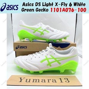 Asics Ds Light X-Fly | eBay