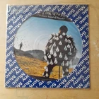 Pink Floyd, Delicate Sound Of Thunder Picture Disc Brazil Vinyl Record LP