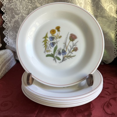 Set Of 6 Arcopal 7  Side Plate ''Fleur D'ete''  Pattern White Opal Glass France