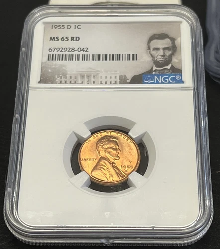 1955-D LINCOLN WHEAT CENT NGC MS65 RED  ACTUAL SET #H248