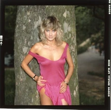 June Chadwick Busty Leggy Sexy Pin Up Photo Shoot Original 2 1/4 Transparency 