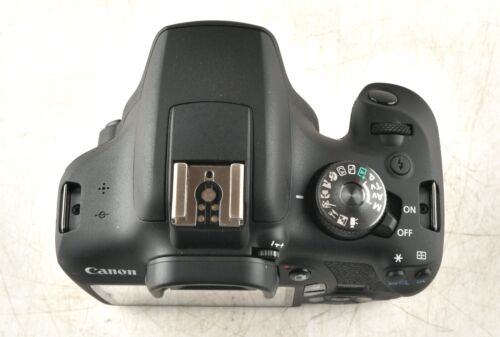 *Canon EOS Rebel T7 24.1MP Digital SLR Camera Body - Picture 6 of 7