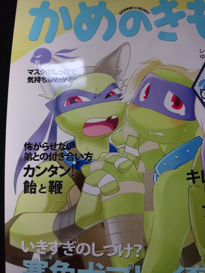 Teenage Mutant Ninja Turtles doujinshi L x D (B5 34pages) TMNT