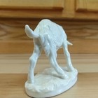 Foto 5 di 8