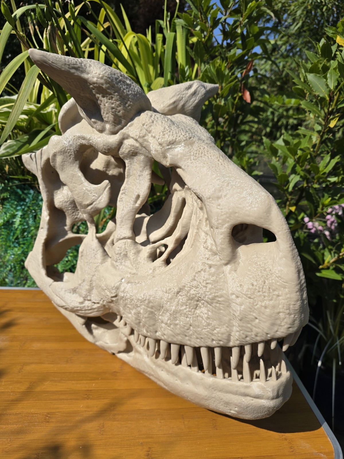 Life-size CARNOTAURUS skull Replica, Fossil