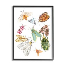Stupell Industries Winged Insect Group Tropical Color Bugs 14"L x 11"W
