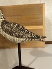 Hand Carved Antique Style Bowman Influence  Yellowlegs Shorebird Decoy — photo 6