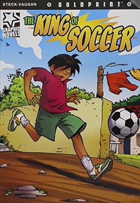STECK-VAUGHN BOLDPRINT GRAPHIC NOVELS: INDIVIDUAL STUDENT *Excellent Condition*