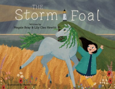 Bray - Storm Foal - New paperback or softback - X555z
