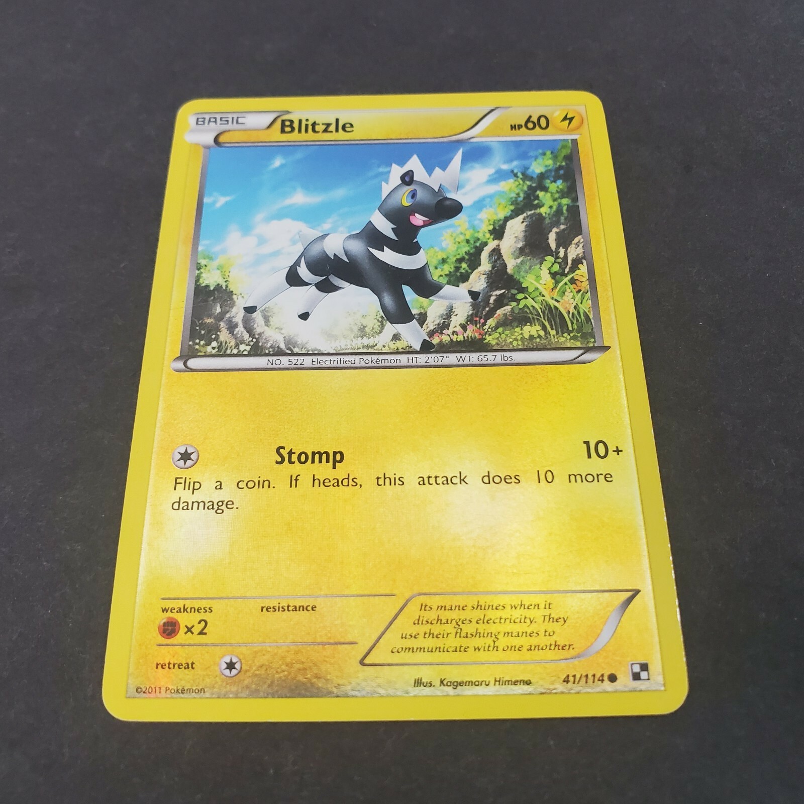 Pokémon TCG Blitzle Black and White 41/114 Reverse Holo Common