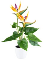 Gasper Kunstpflanze Strelitzia H 42 Cm Bunt Pflanze Kunstblume