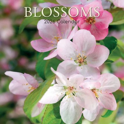 BLOSSOMS - 2026 WALL CALENDAR - BRAND NEW - 224891