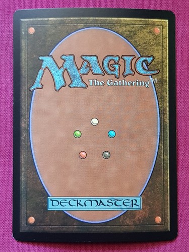Magic The Gathering FRIDAY NIGHT PROMO FOIL EVOLVING WILDS land card MTG FNM - Picture 2 of 2