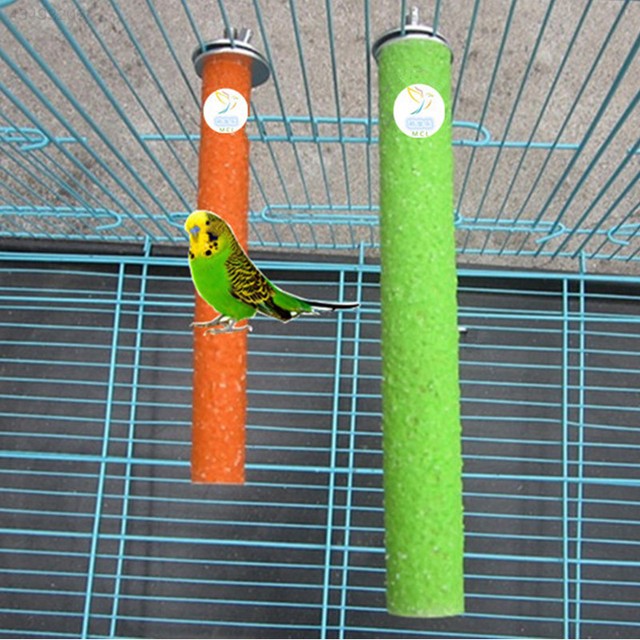 budgie supplies