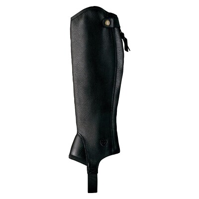 Ariat   Concord Half Chap Medium Tall