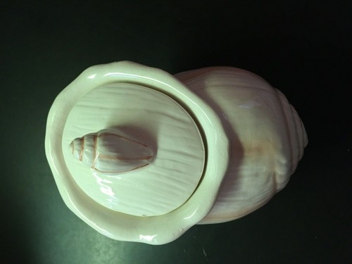 Small Ceramic Sea Shell Shaped Dish w/ Lid - Pre-owned