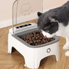 Smart Cat Bowl, Pet Cat Feeder With An Automatic Lid That Opens And Closes