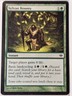 Sylvan Bounty - Conflux - Magic the Gathering MTG Nice!