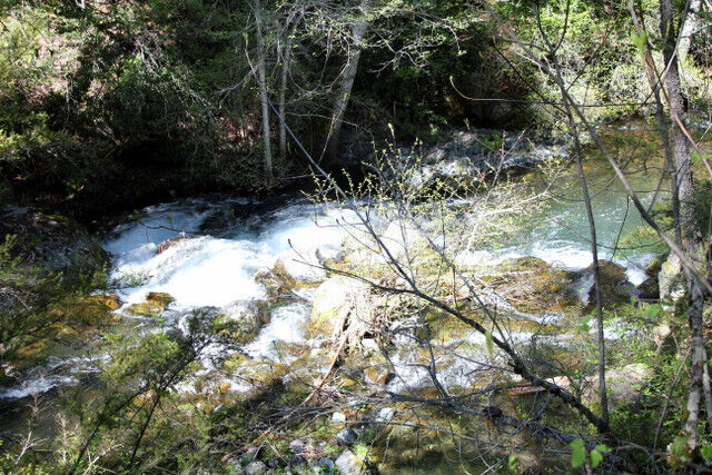 Lucky Nuggets Placer Gold Mining Claim 20 Acre Plumas County CA Marble Creek