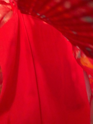 Chemisier Jessica Simpson Rouge à Fleurs Manches Longues Pour Fille - Taille XL - Occasion Très Bon état Avec Cami