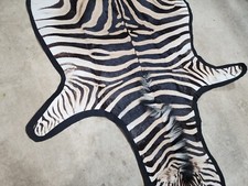 Zebra Skin/Zebra Taxidermy Hide Rug Burchell's Black Felted