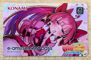 E Amusement Pass | eBay