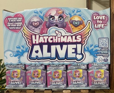 Hatchimals Alive 20 Count Box Set Full Display Case Surprise Egg Hatches NEW
