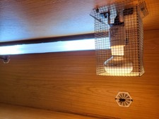 4ft Vivarium Tank with Thermostat, Heat Lamps, and Sensor