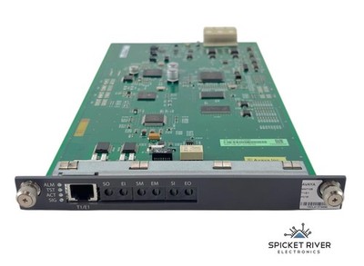Avaya MM710B T1/E1 HV16 Gateway Media Module PN: 700466634