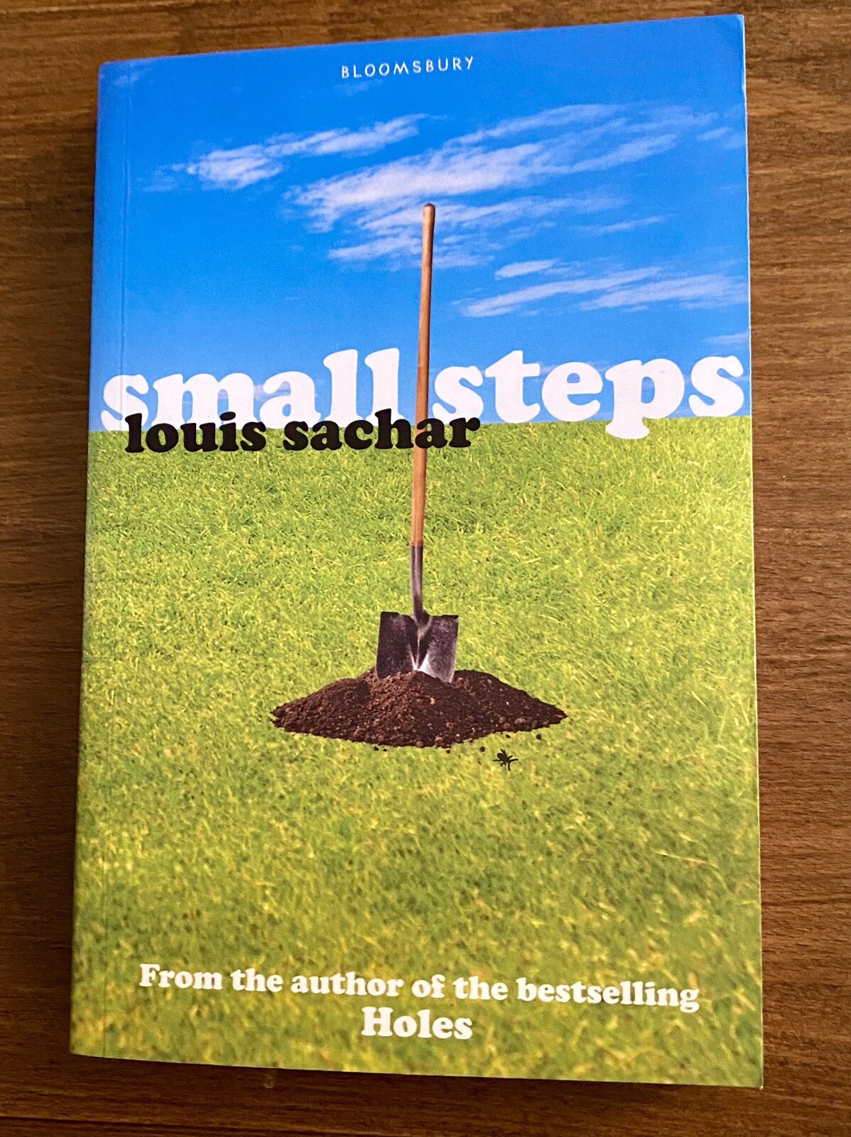 Small Steps by Louis Sachar (Paperback, 2007)