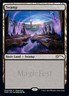 Swamp - MagicFest 2020 NM, English MTG Unique & Misc Promos